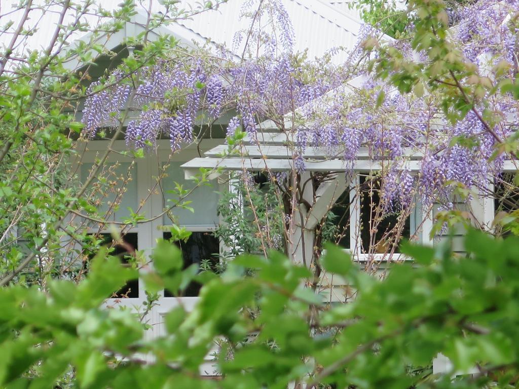 Amelina Cottages Marysville Zewnętrze zdjęcie
